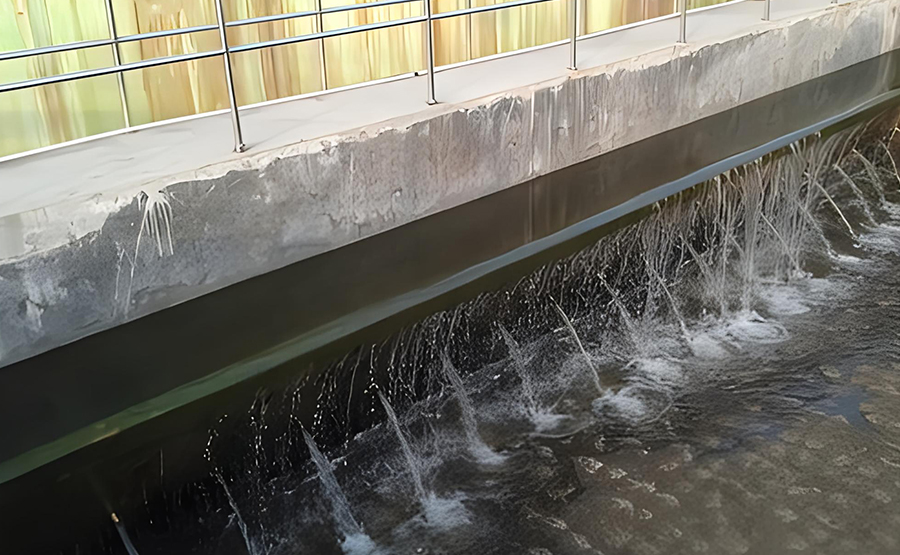 自來水凈化污泥脫水機(圖1) undefined