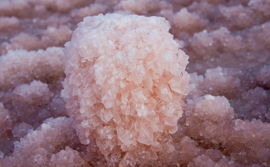 臥螺離心機在結(jié)晶分離中的應(yīng)用(圖1) undefined