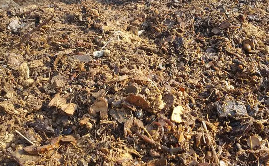 臥螺離心機廠家